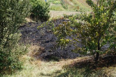 Zuendelnde Kinder loesen Flaechenbrand in Hessigheim aus